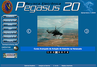 Pegasus 20